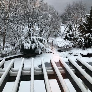 Meet your Posher, Tracy